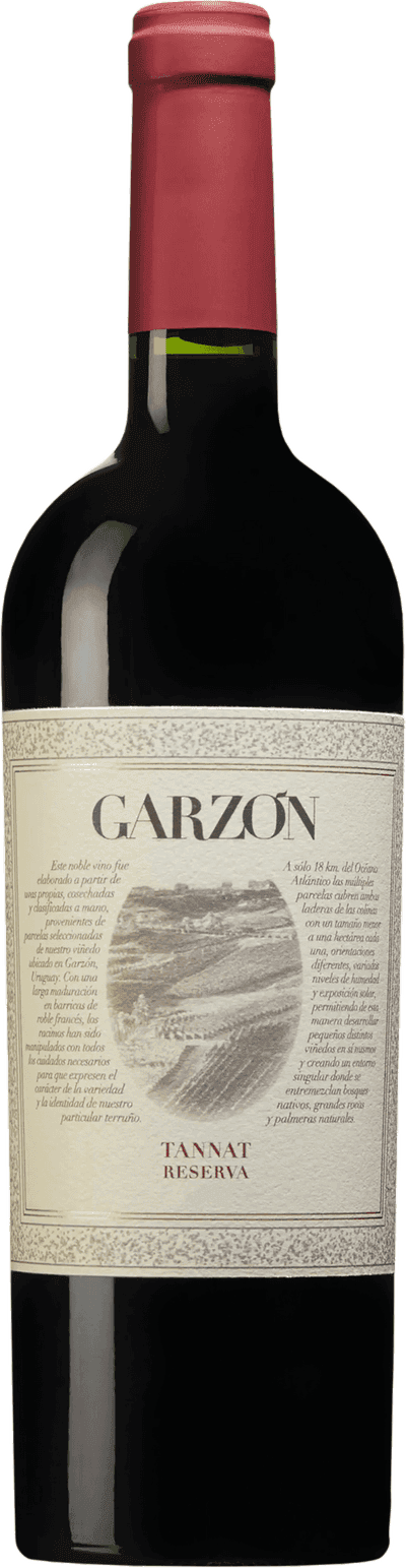 Garzón