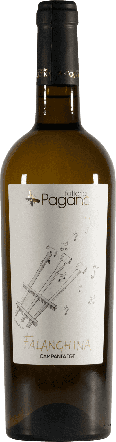 Falanghina
