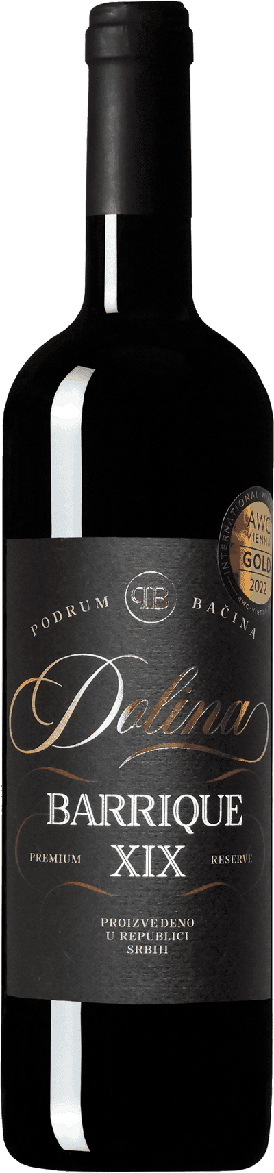 Dolina XIX