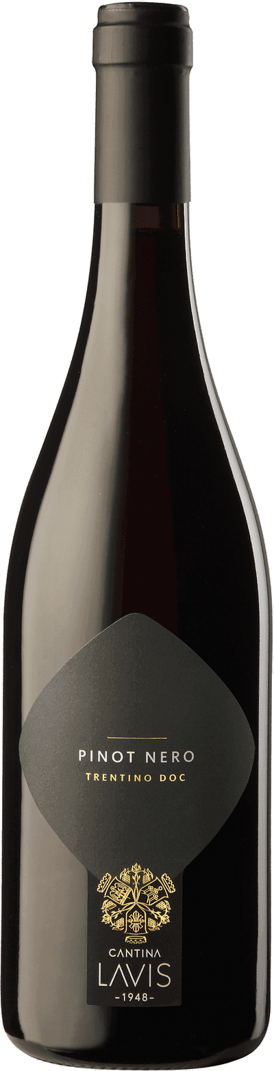 Cantina Lavis