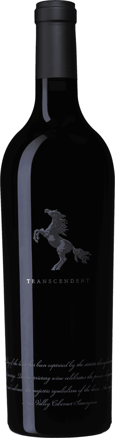 Black Stallion