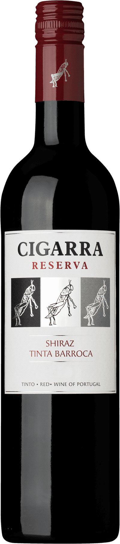 Cigarra