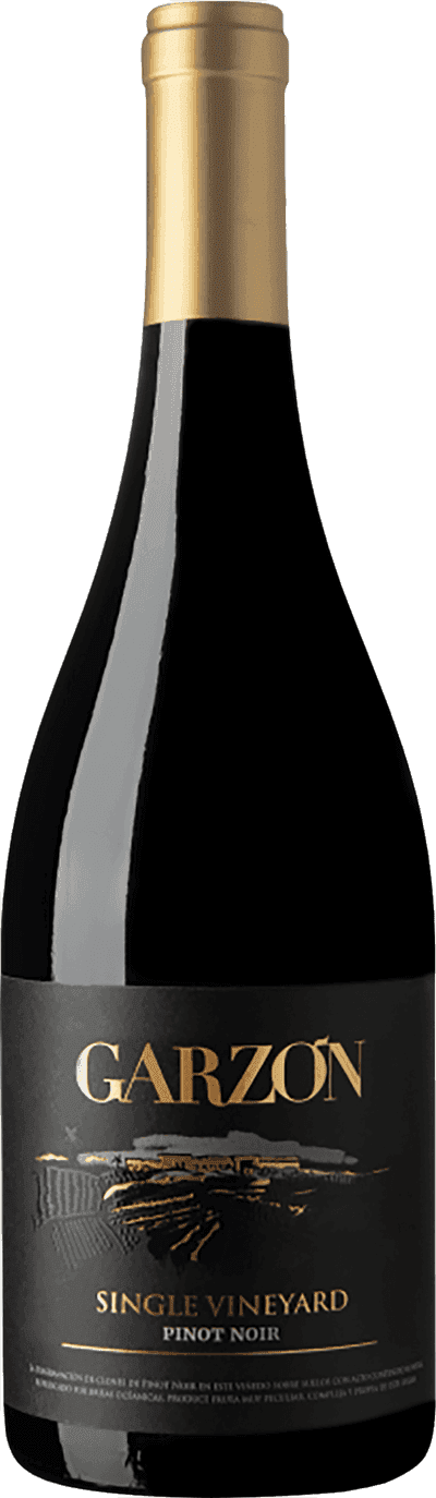 Bodega Garzón