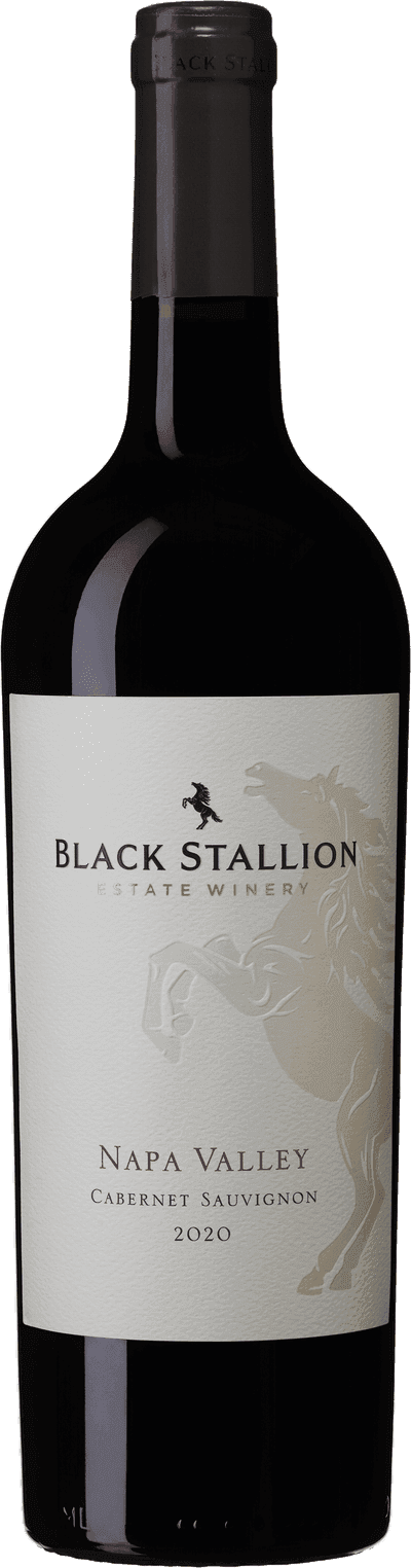 Black Stallion