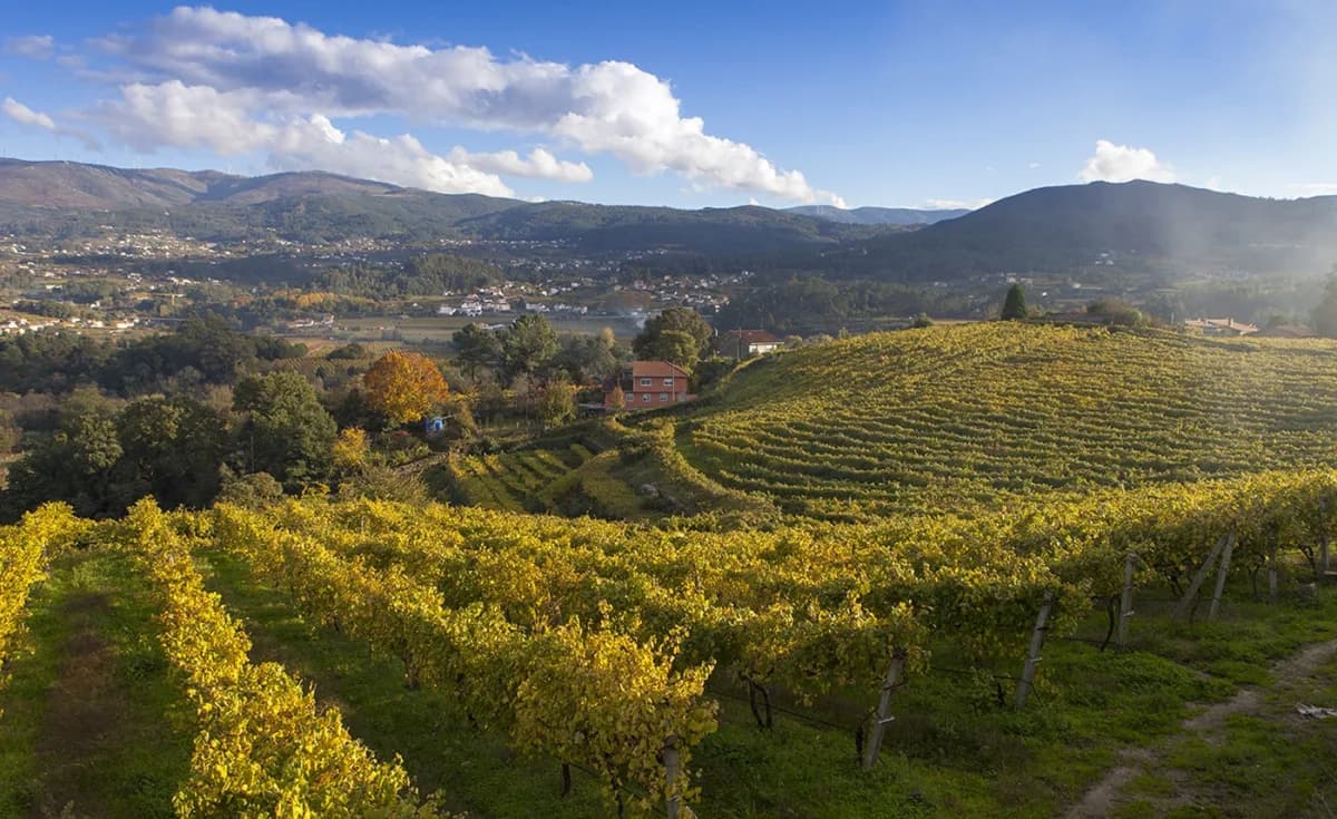 Rías Baixas