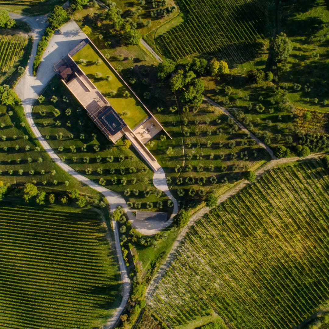 Podernuovo Srl Società Agricola