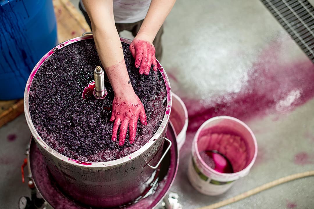 Bear Creek Winery