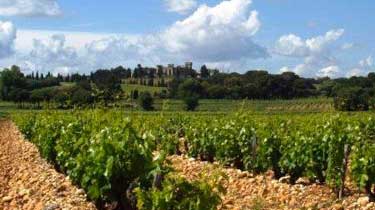 Château La Grave à Pomerol