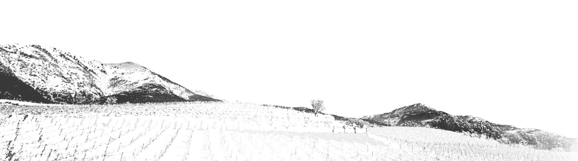 Società Agricola Grosjean Vins s.s