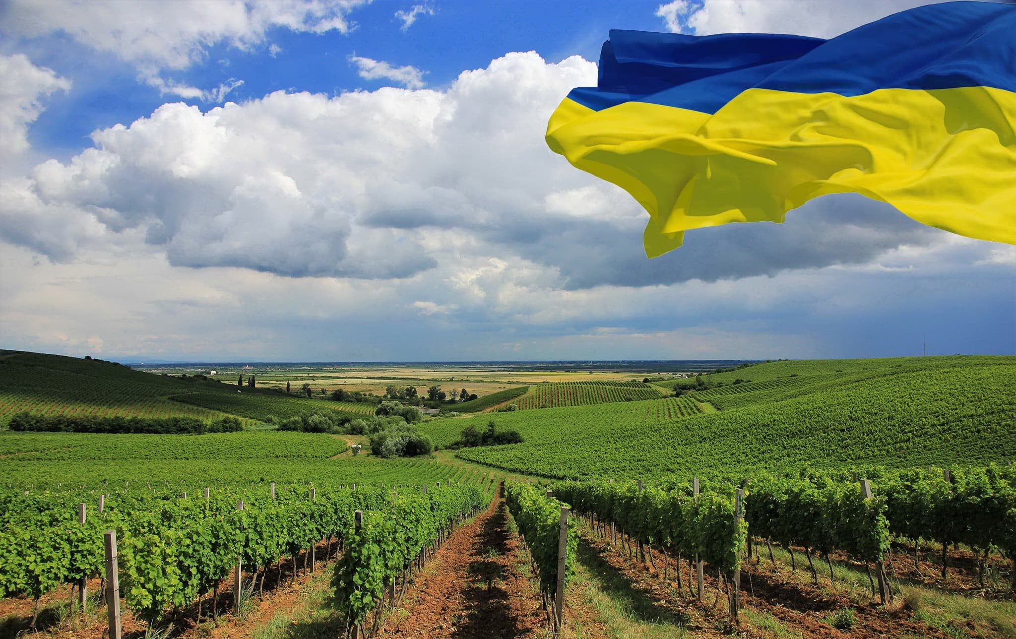 Chateau Chizay Wine Company