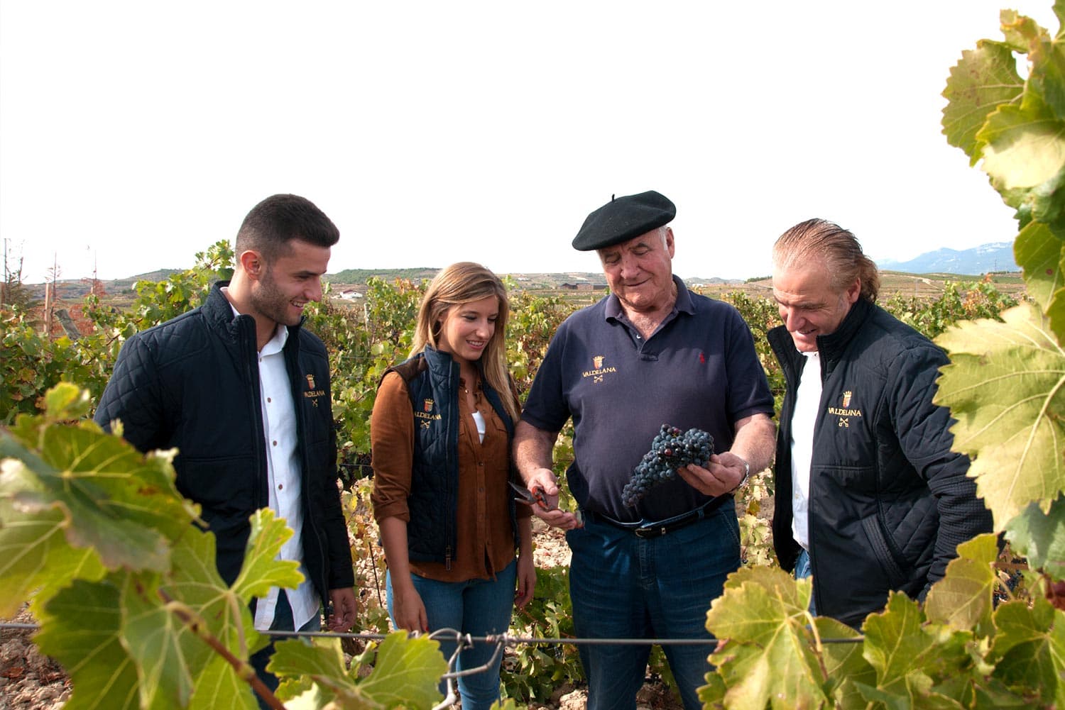 Bodegas Valdelana