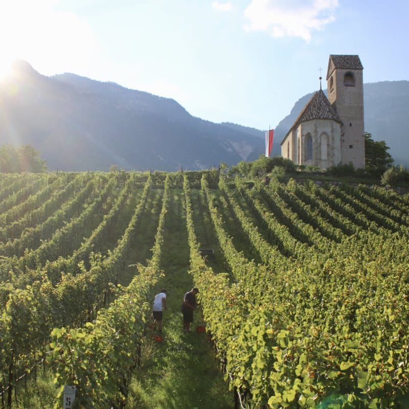 Weingut Schloss Englar