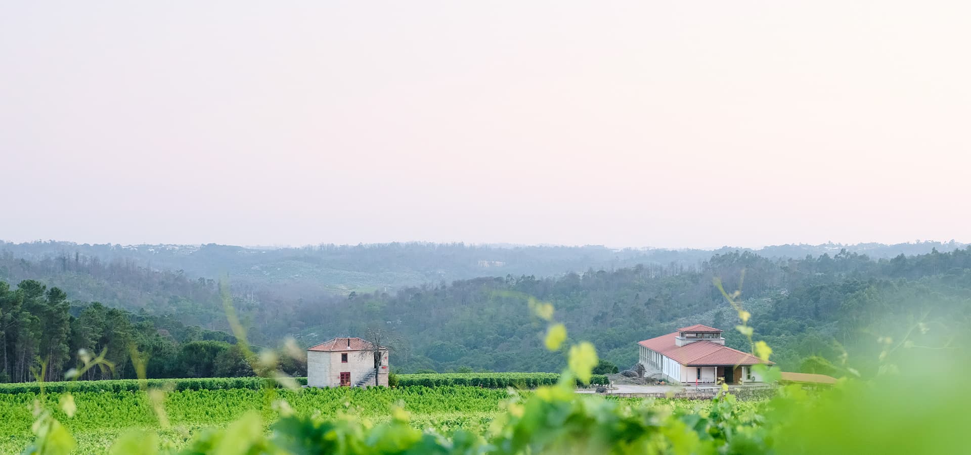 Quinta de Lemos SA
