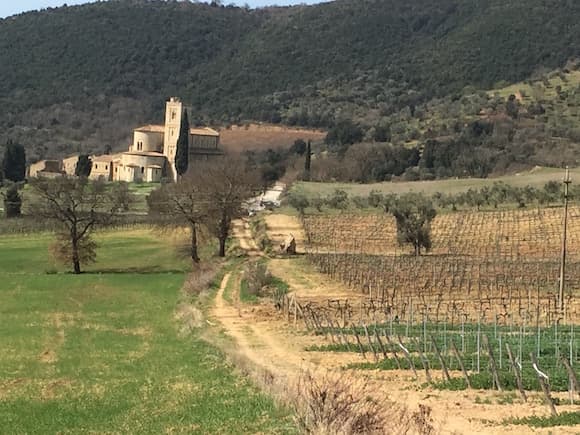 Cantina Colli Euganei s.c.a