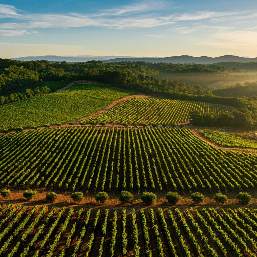 Domaine de la Commanderie