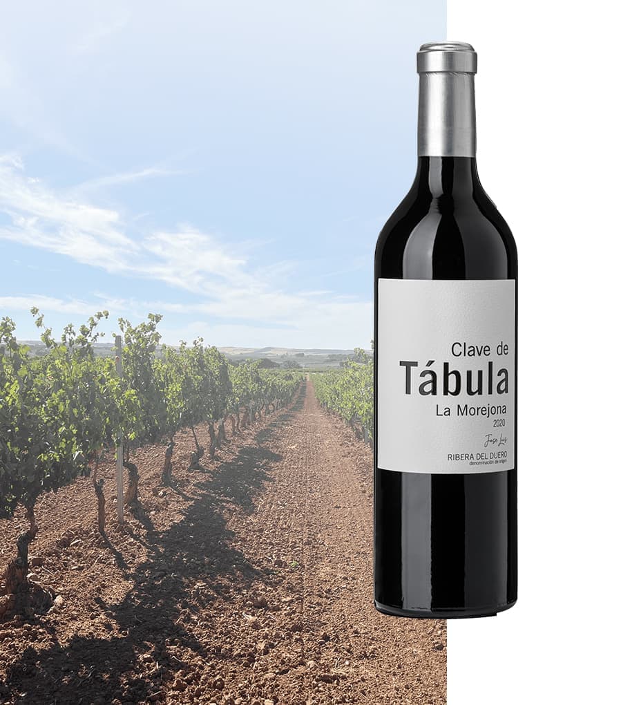 Bodegas y Vinedos Tábula S.L