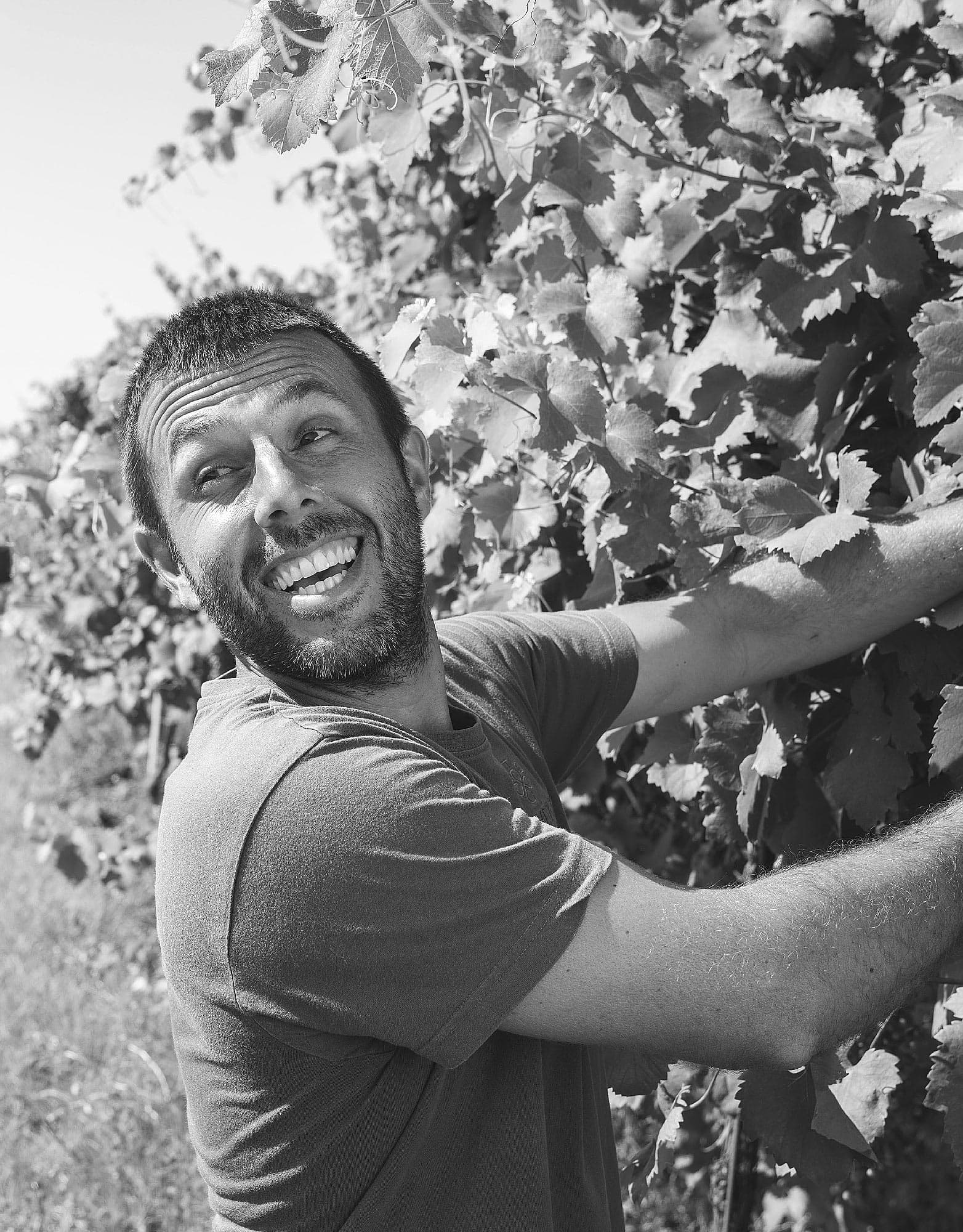 Societa’ Agricola F.LLI Corvezzo S.R.L