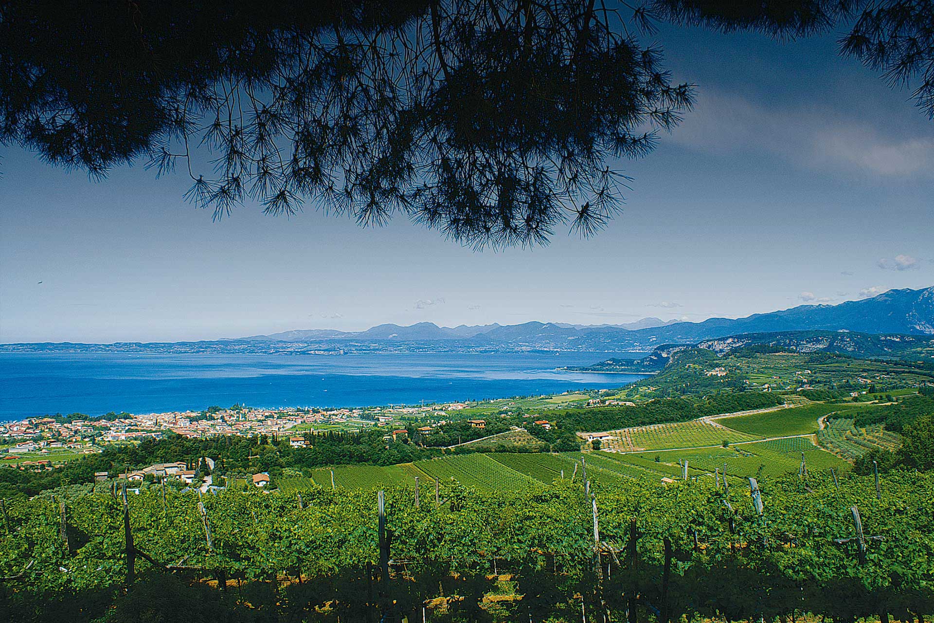 Cantine Lenotti