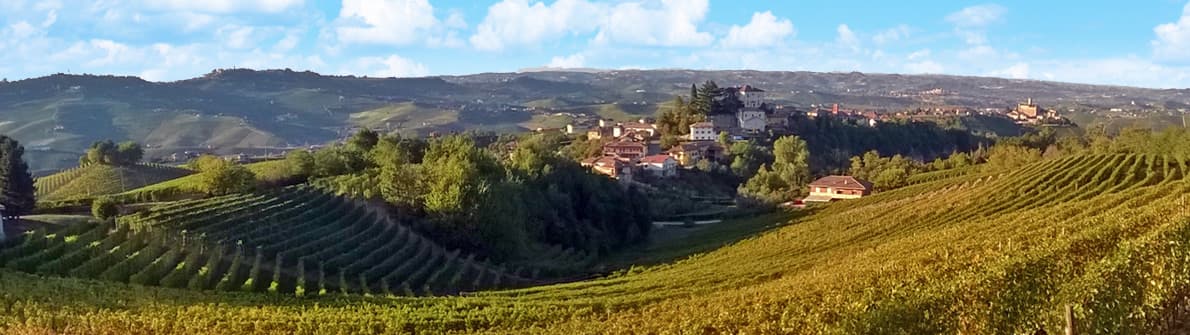 Cascina Vigna