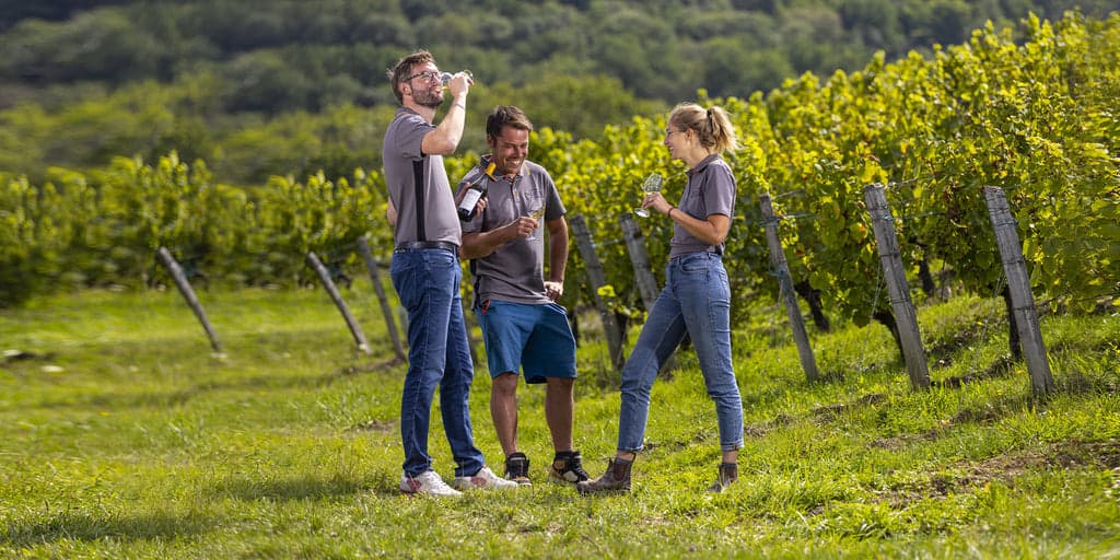 Domaine Rolet