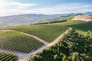 Pasqua Vigneti e Cantine SpA