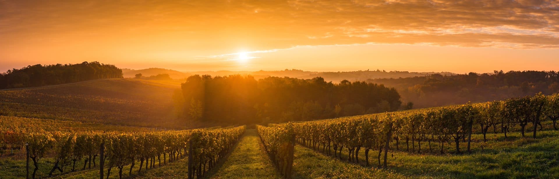 Nordic Sea Winery