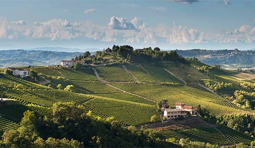 Fields Wine Co