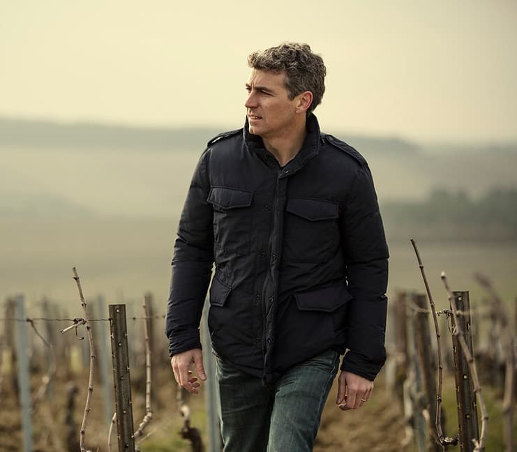 Domaine Louis Michel & Fils