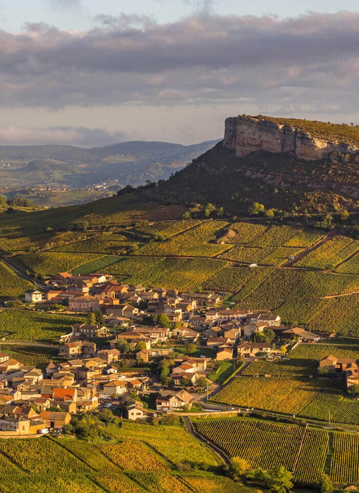 Vignerons des Terres Secrètes