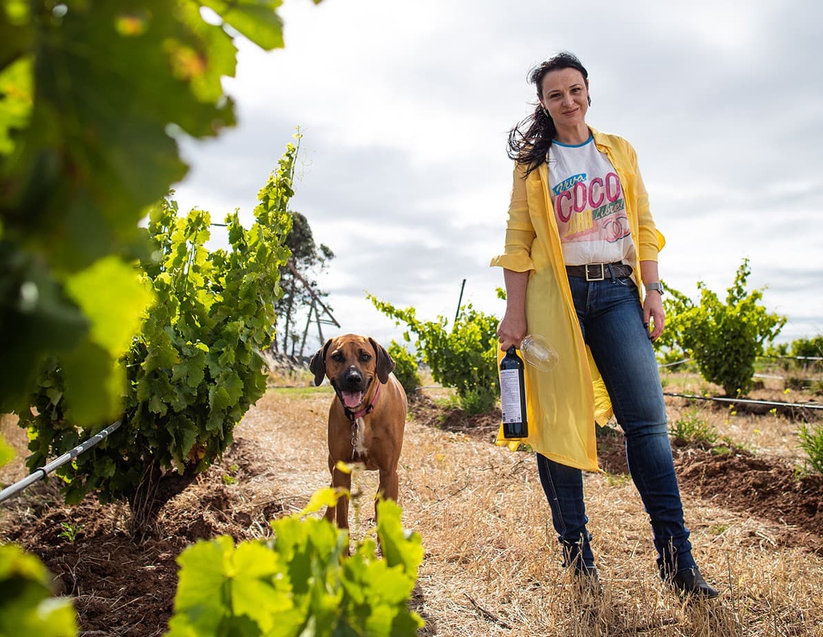 Dandelion Vineyards