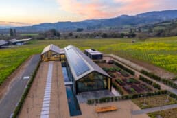 Calwine