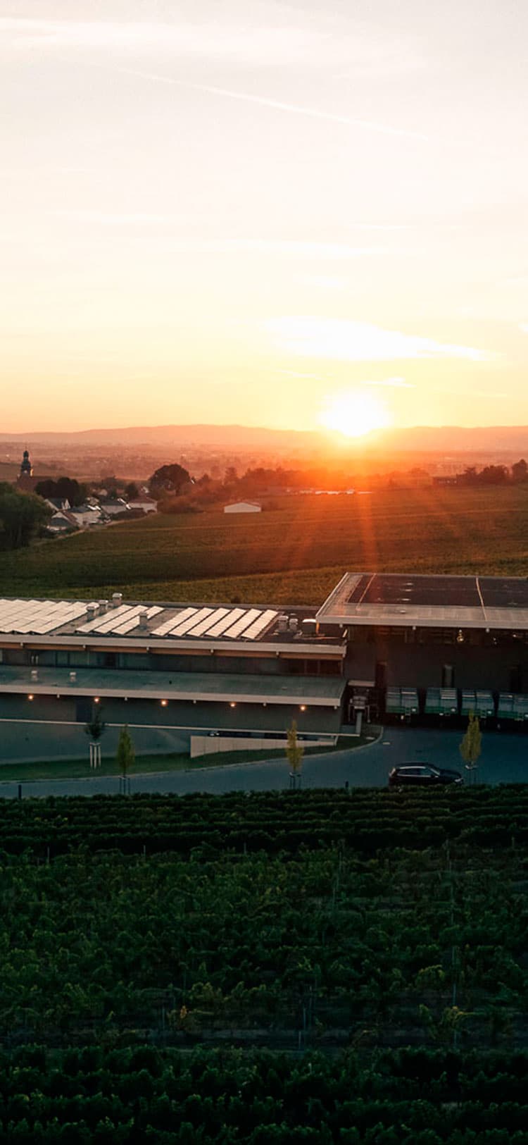 Weingut Dreissigacker