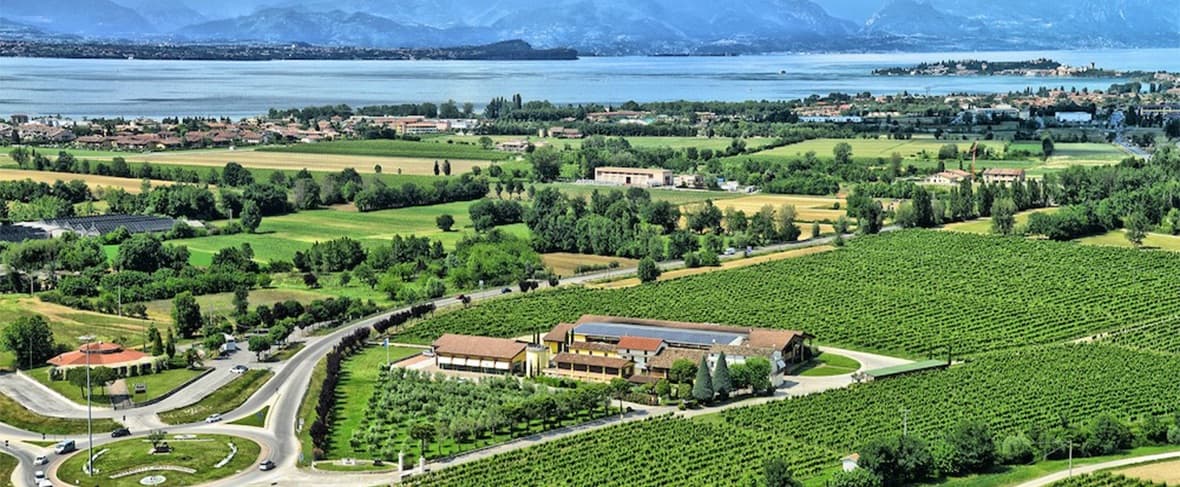 Araex Rioja Alavesa (Coop)