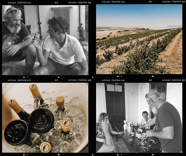Equinox Wines