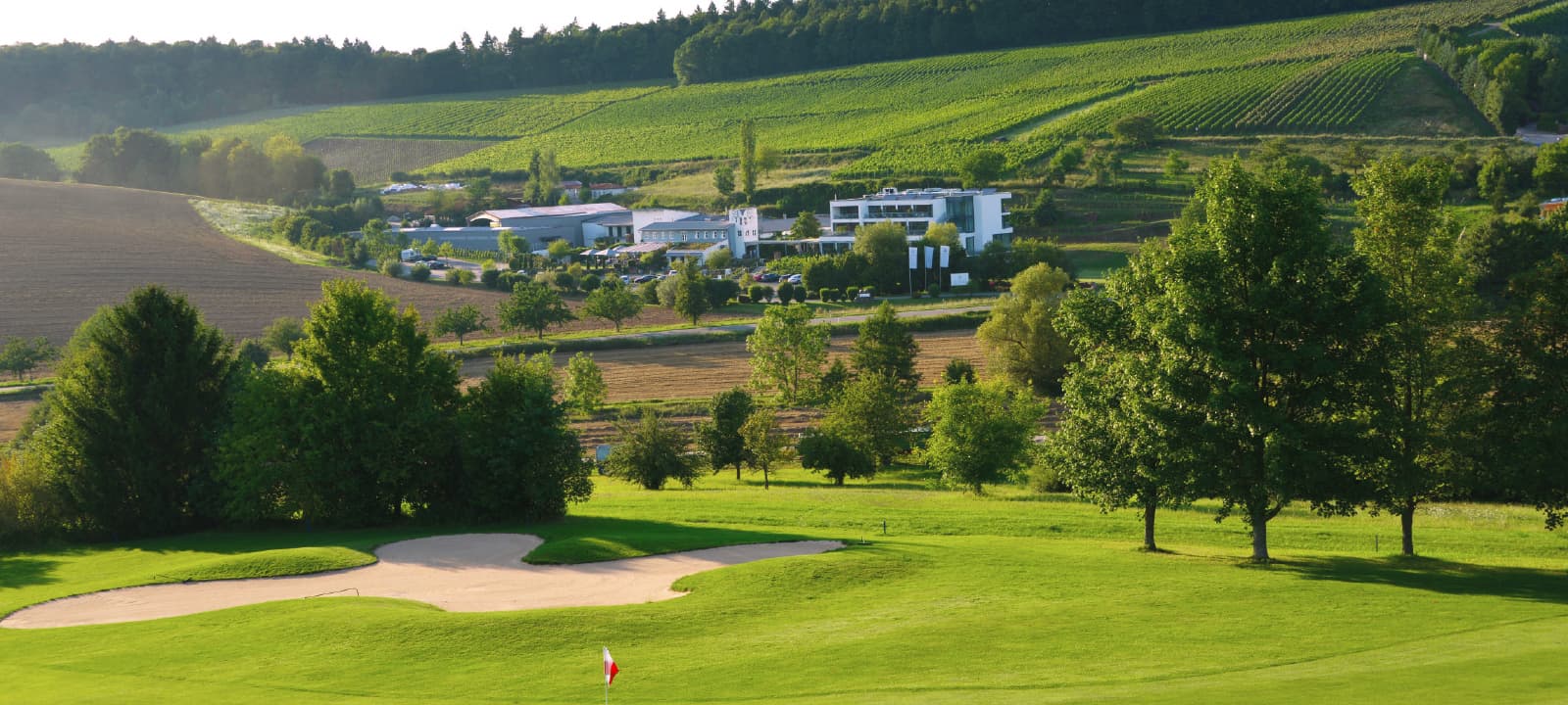Weingut Heitlinger