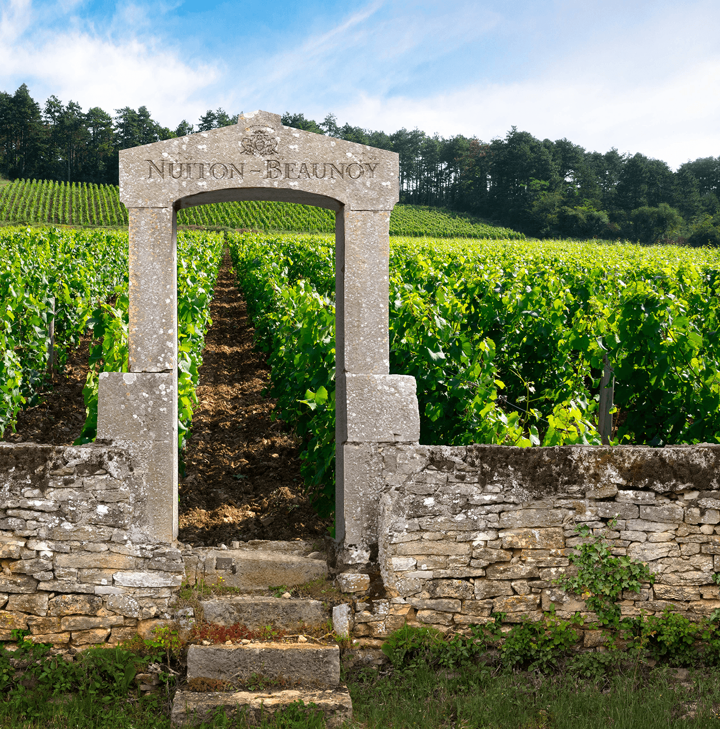 Nuiton Beaunoy
