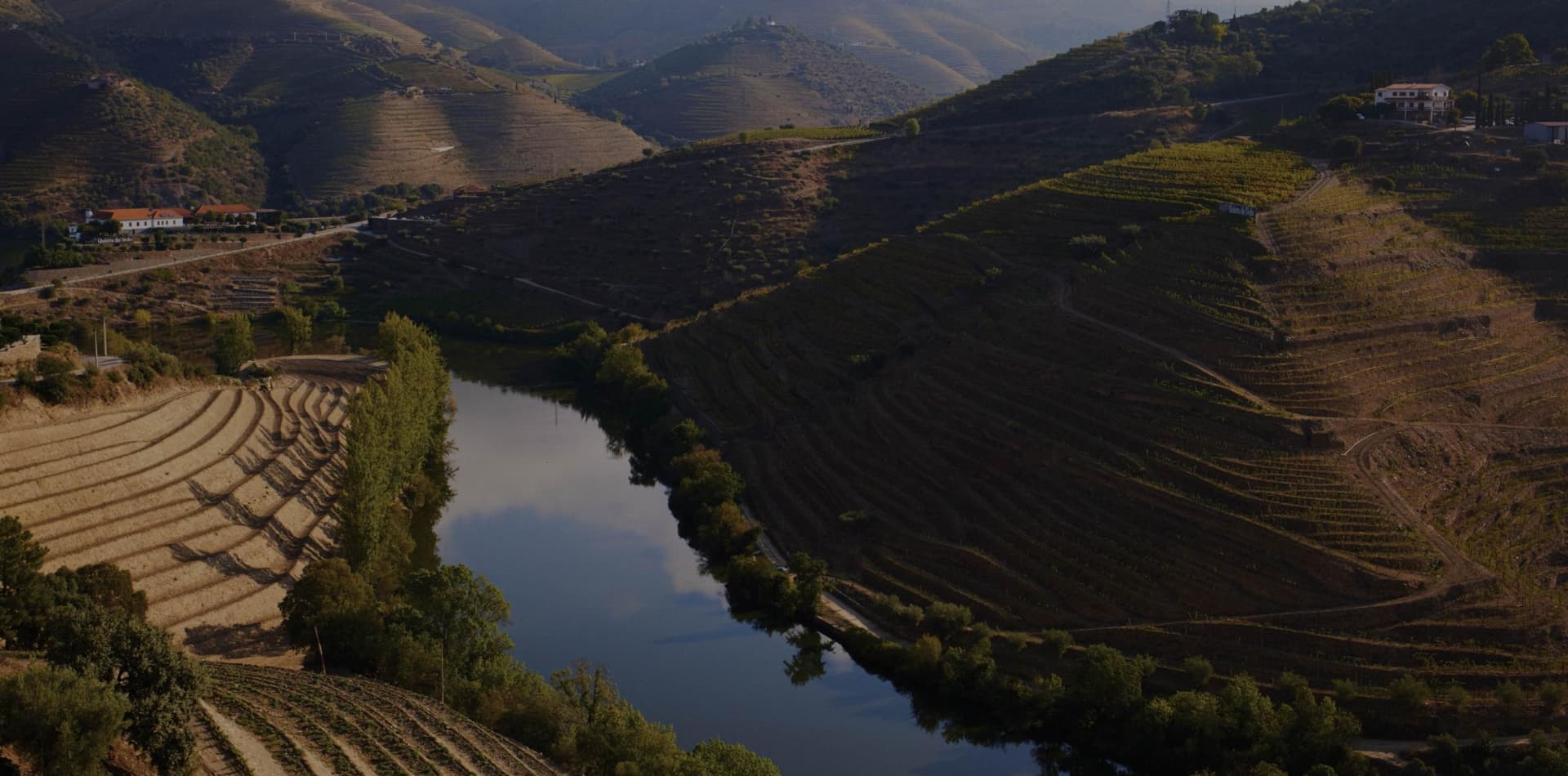 Niepoort Vinhos