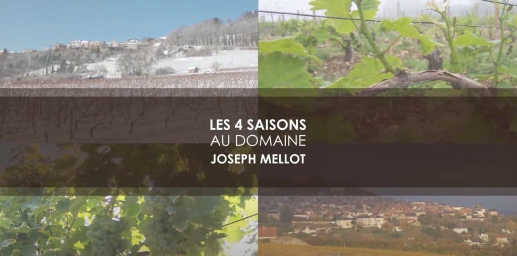 Joseph Mellot