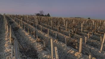 Château Beau-Site Haut-Vignoble