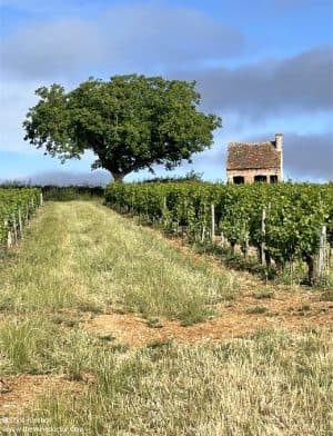 Domaine Grosbois