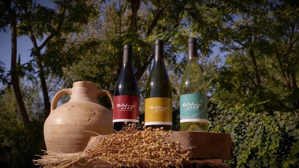 Bodega Pons Tradició S.L.U
