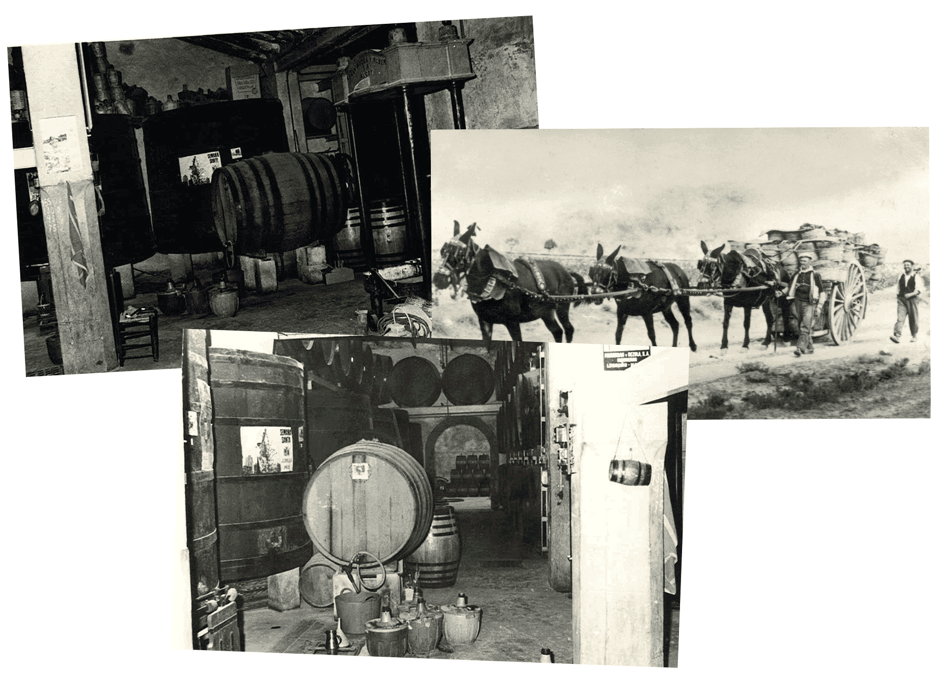 Bodegas Silvano Garcia