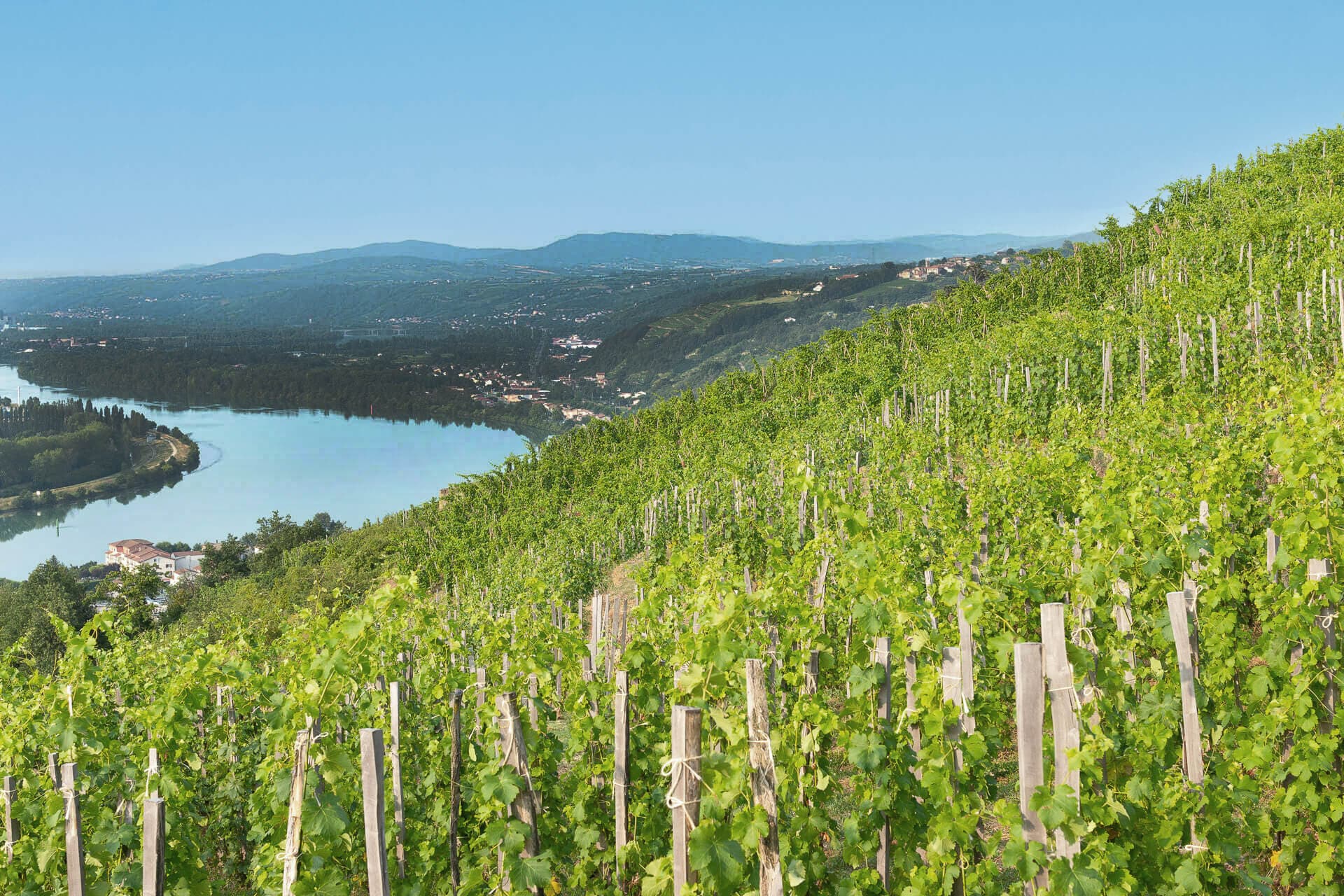 Domaine Pierre Gaillard