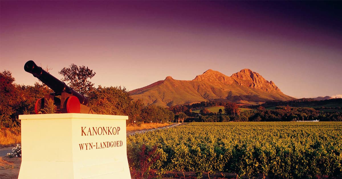 Kanonkop Estate
