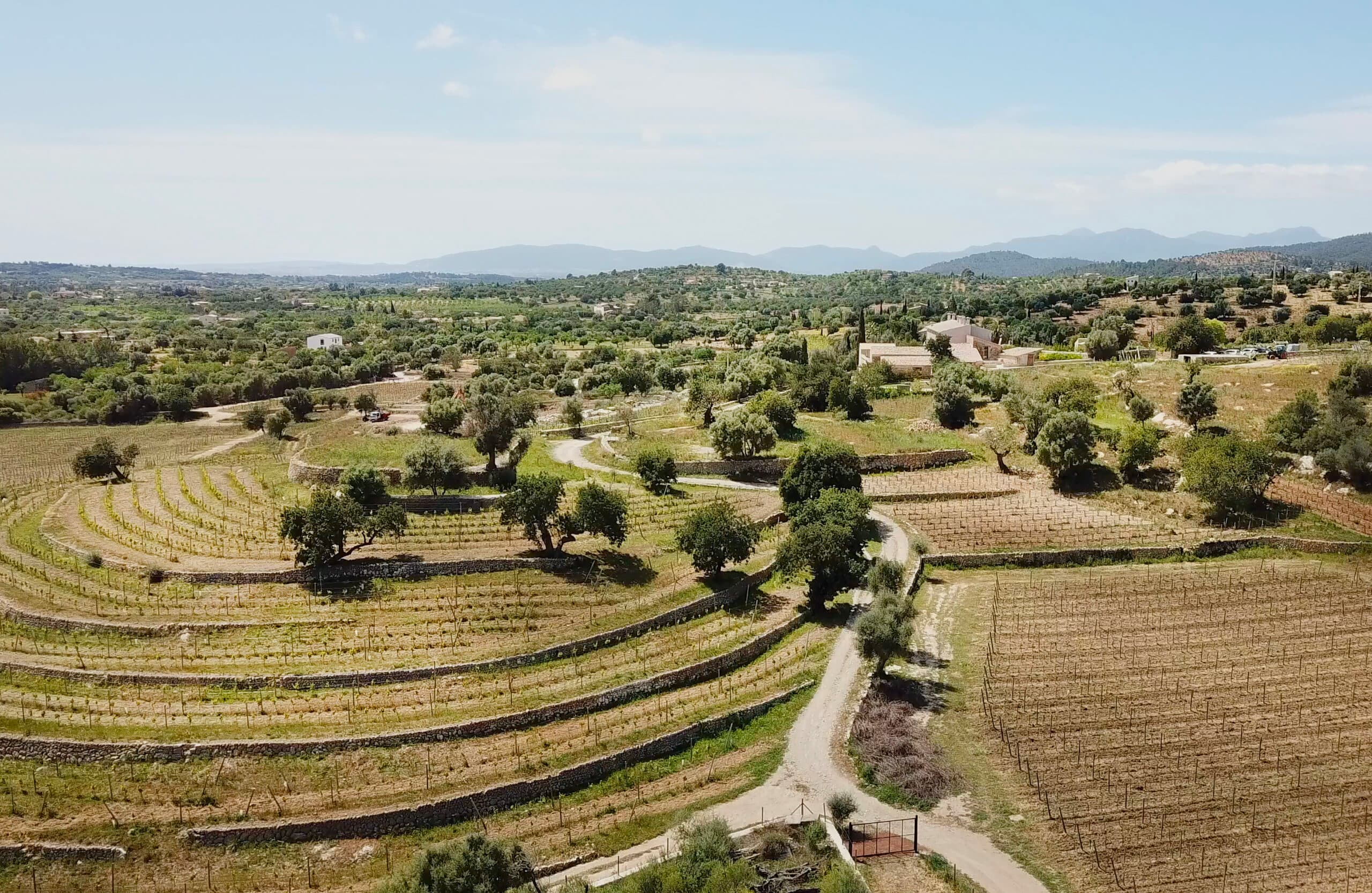 Bodega Son Antem