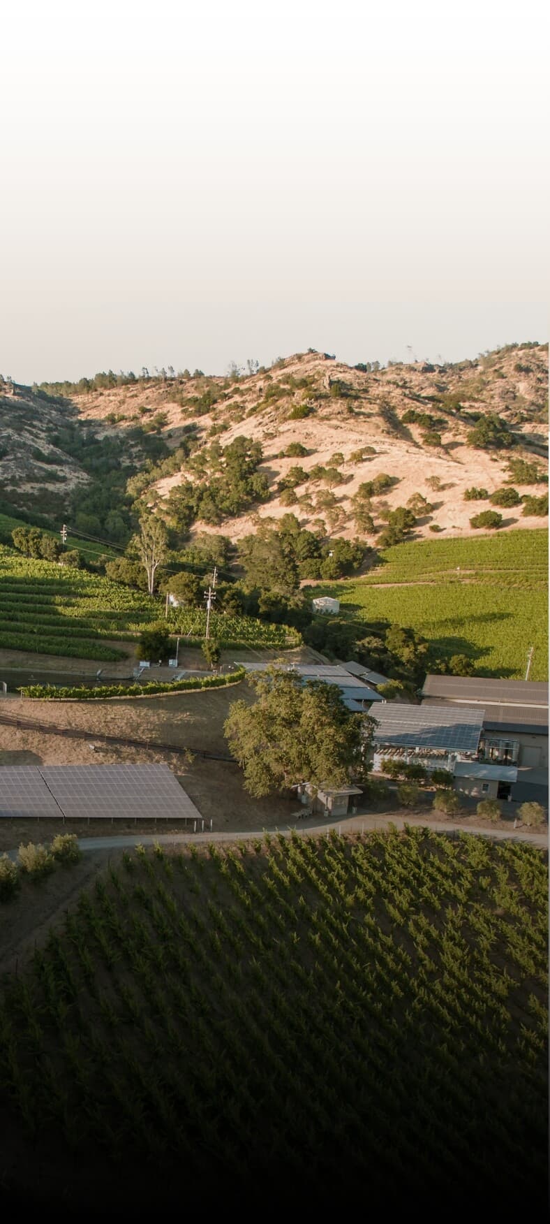 Shafer Vineyards