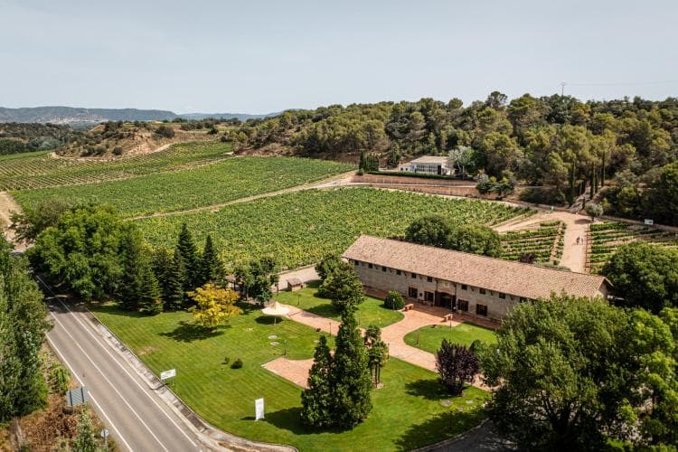 Viñas del Vero
