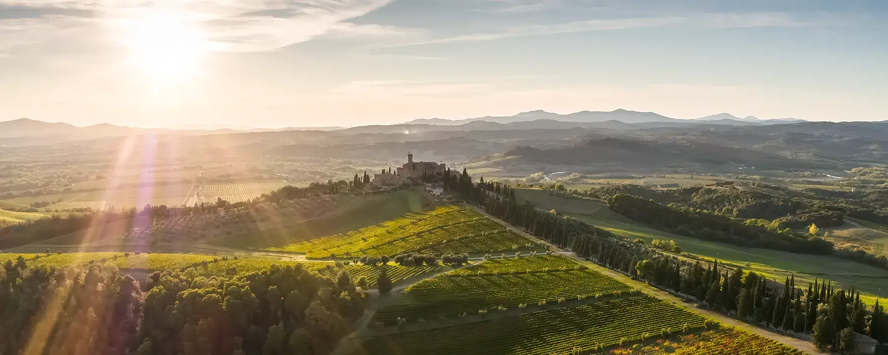 Castello Banfi