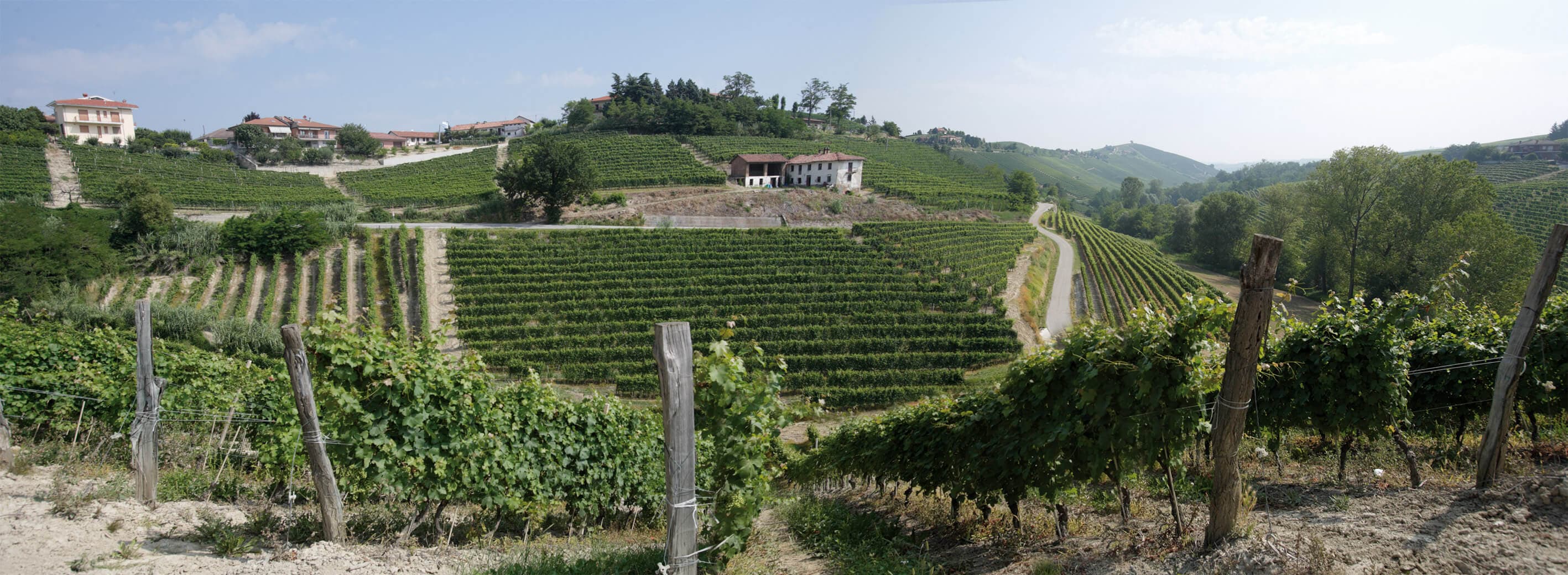 Pelissero Az. Agr. Vitivinicola