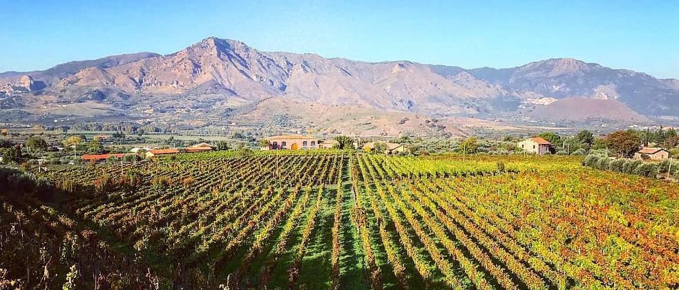 Tenuta delle Terre Nere